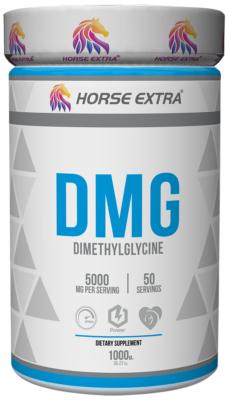 DMG - 1 KG